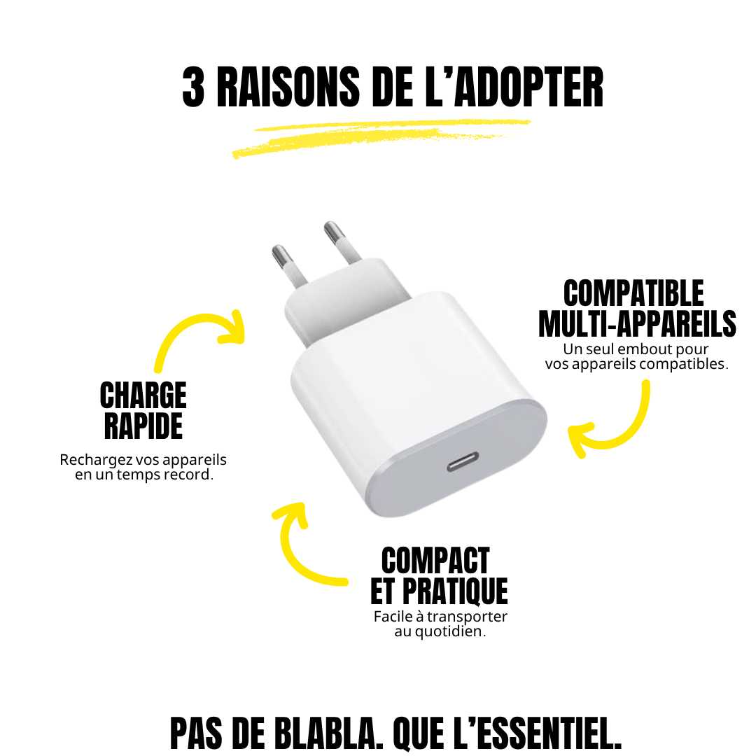 Chargeur iPhone - Embout secteur